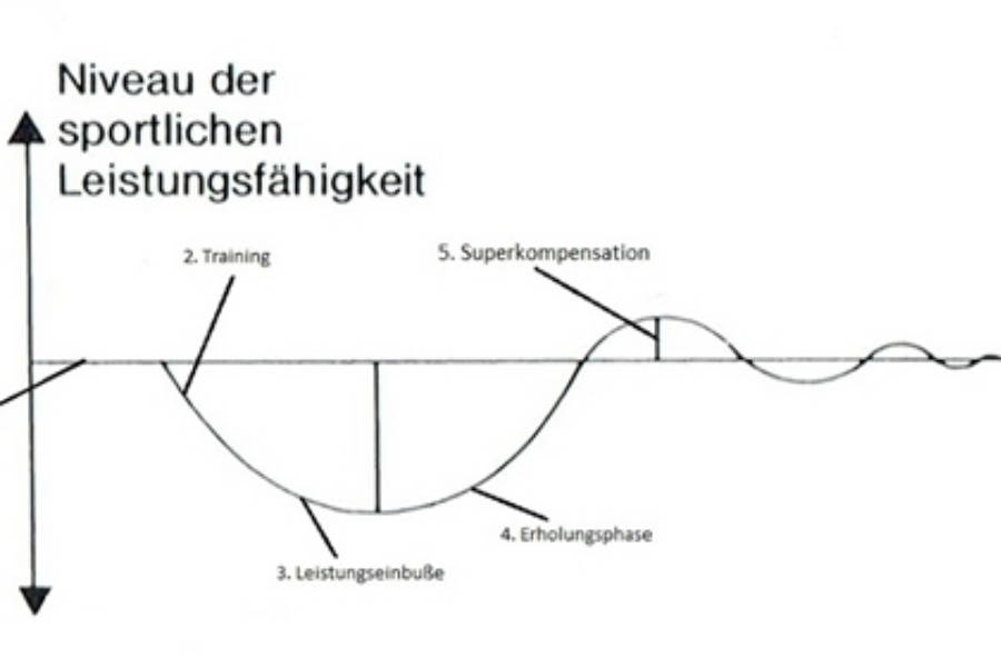 Tri-Wissen: die Superkompensation