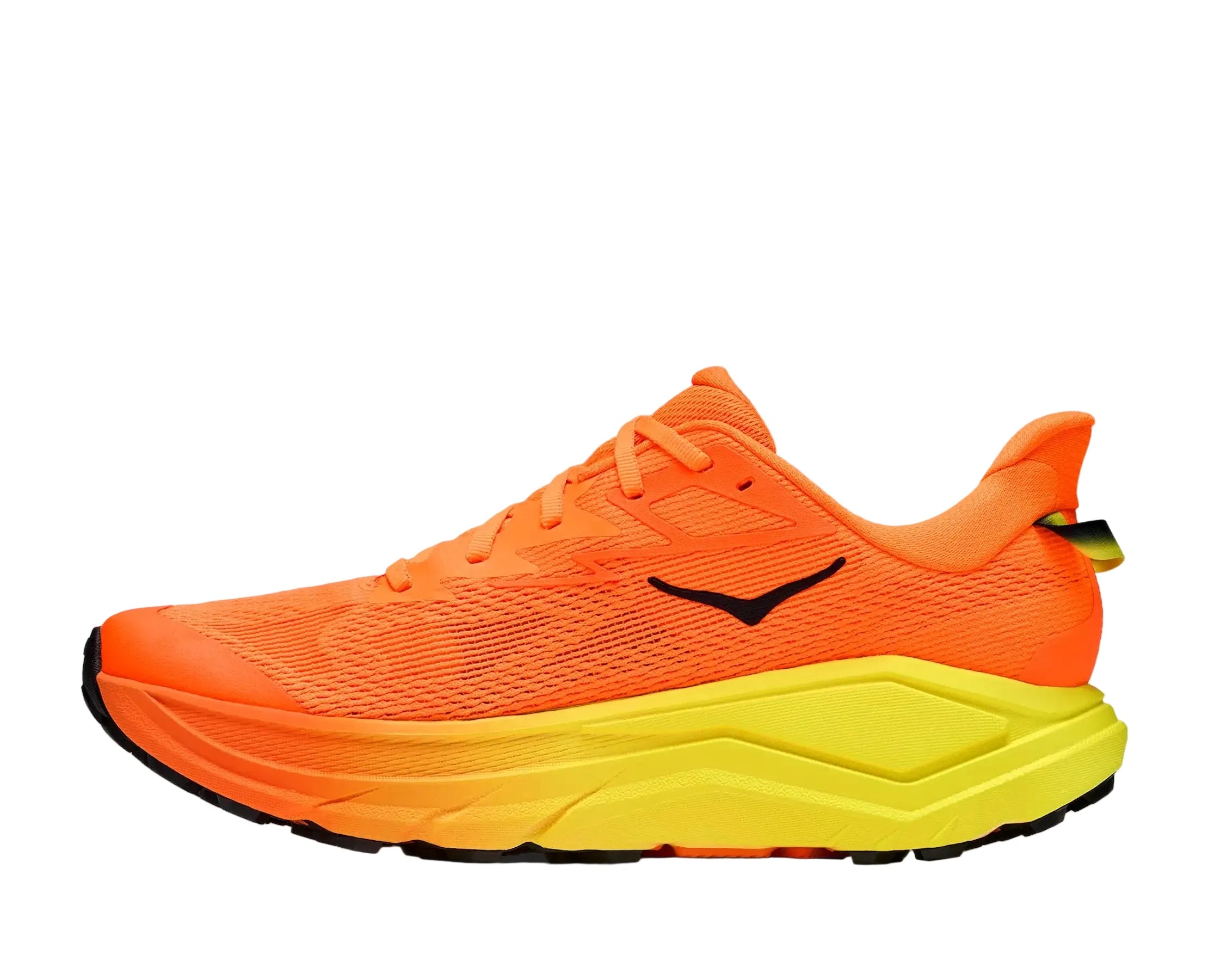 Ansicht rechter Schuh Innenseite
