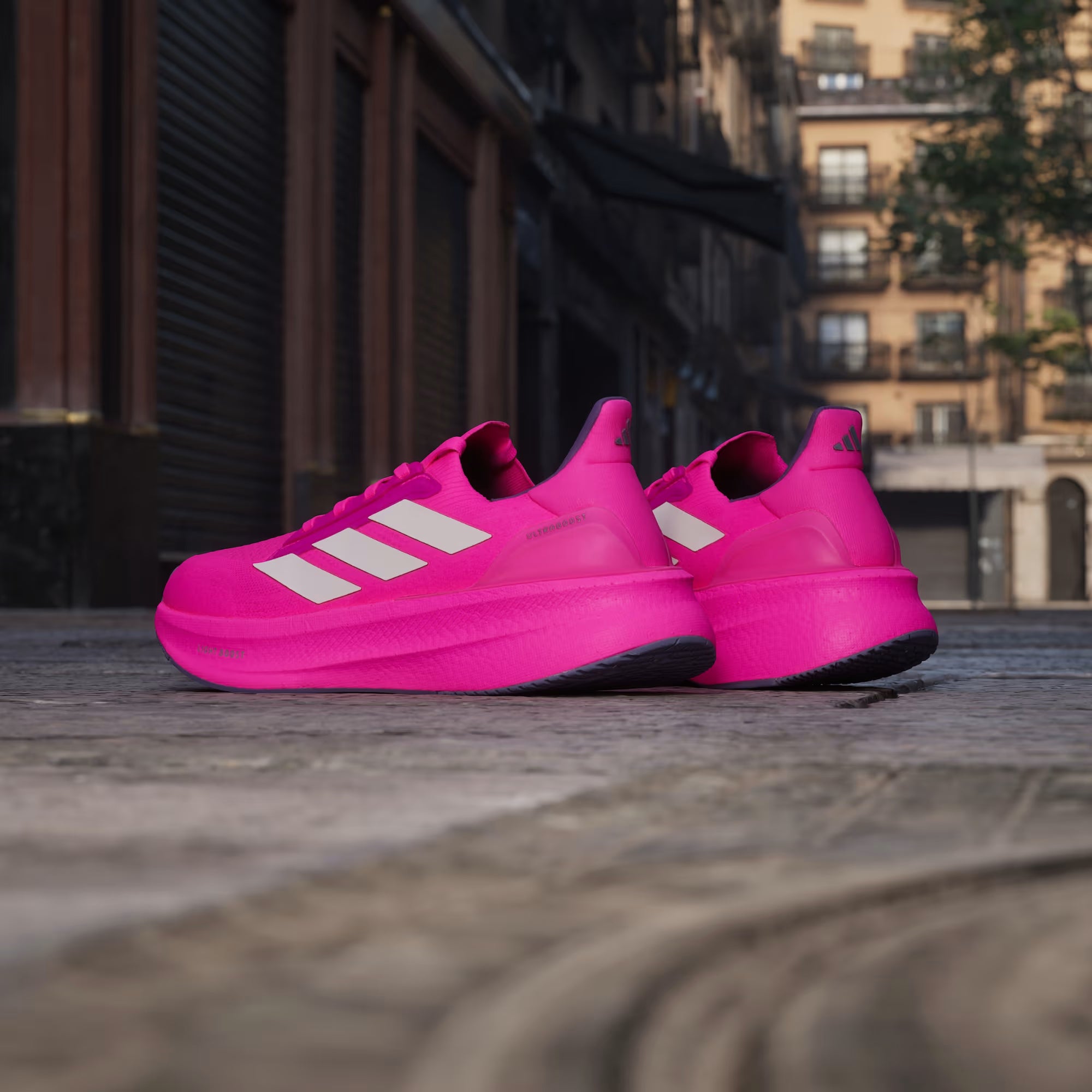 Schrägansicht beide schihe von hinten